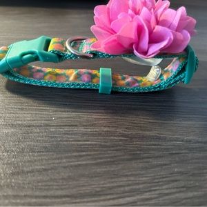 New with tags top paw collar